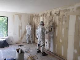 Reliable Wofford Heights, CA Mold Removal Solutions